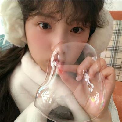 美国兔子的冒险